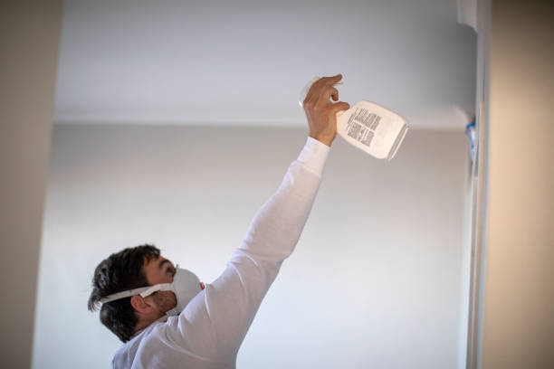Best White Mold Remediation in Jefferson Valley Yorktown, NY