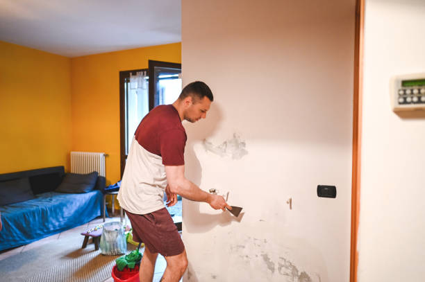 Best Residential Mold Remediation in Jefferson Valley Yorktown, NY